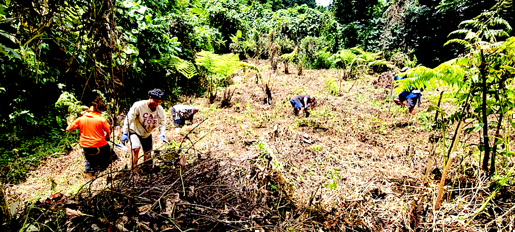 Rainforest And ‘Fale Ole Fe’e’ Added To Safeguarded Sites At Magiagi ...