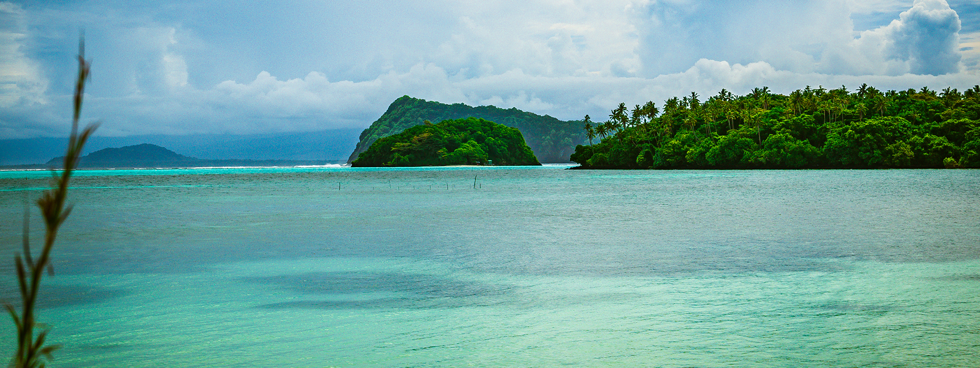 Dear Oh Dear – Sell All Samoa For Money or in short, FAST – Newsline Samoa